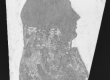 Gustav Friedrich Arvelius, klaasnegatiiv siluettportreest - EAA