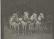 Neljahobuse tõld Suuremõisa härrastemaja ees. 1908 - EAA
