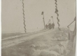 Merelt saabunud seltskond vanikute ja riigilippudega kaunistatud teel  (1920-ndad - 1930-ndad) - EAA