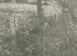 Hendrik Adamsoni haud Helme kalmistul (enne korrast.) - KM EKLA