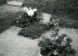 M. Jürna (1899-1972) haud Tallinna Metsakalmistul. 1974. a.  - KM EKLA