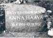 Haava, Anna haud Tartus Raadi kalmistul - KM EKLA