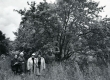 Betti Alver sünnikodus Jõgeval isa istutatud pirnipuu all. Paremalt: Velly Verev, Betti Alver, Renate Tamm ja Linda Nigul 1982. a.  - KM EKLA