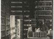 Vaade Tartu ülikooli raamatukogu riiulitele. 1930-ndad - EAA