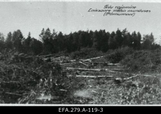 Talu rajamine Laiksaare metsa asunduses. 1920