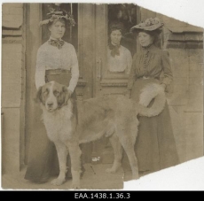Kaks noort naist koeraga lävel, kolmas paistamas ukse tagant. 1907
