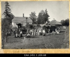 Ülesvõte Sahkapuu kogukonnast rehepeksu ajal. 1900-ndad - 1910-ndad