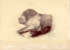 F. R. Kreutzwaldi koer Hektor