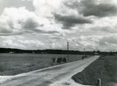 K. Merilaasi lapsepõlvega seotud paiku. Vao ristmik Väike-Maarja Kiltsi teel, vaade Ebavere suunas, 01.07.1966
