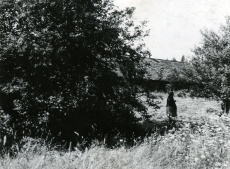 K. Merilaasi lapsepõlvega seotud paiku. Moora talu nn Nokkeloja kaevu koht, 13.07.1966