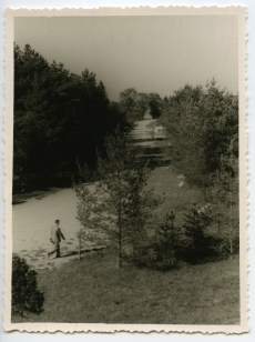 Vaade A. Laikmaa ateljeest muuseumi avamise puhul 5. VI 1960