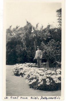 Saal, Andres, kirjanik oma aias Hollywoodis