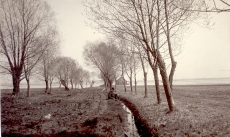K. E. Sööt Ropka mõisa lähedal Emajõe ääres, kevad 1903