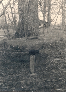 Ao mõisa aias kivist ümmargune laud