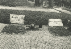 August Alle ja Marta Alle-Braff'i hauad Tallinna Metsakalmistul 1974. a.
