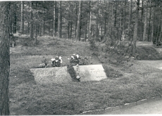 Friedebert ja Elo Tuglase hauad Tallinna Metsakalmistul 1974