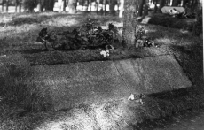 Johannes Vares-Barbarus e ja Emilie Varese hauad Tallinna Metsakalmistul 1974. a