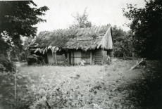 Karl Ristikivi lapsepõlvekodu Võipsi talu hooneid Paadremaa vallas 1966. a