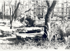 Friedebert Tuglase majamuuseumi aed, 1982