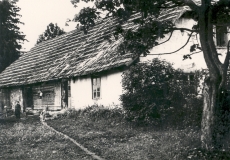E. Enno elukoht Rõngus, Soosaarel alates 1880, 2. VII 1960