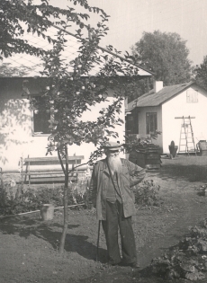 Ernst Peterson-Särgava oma aias õunapuu juures, 19. IX 1954