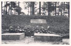 Eduard Vilde, haud Metsakalmistul Tallinnas