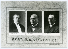 Eesti Päästekomitee 1919: Jüri Vilms, Konstantin Päts, Konstantin Konik