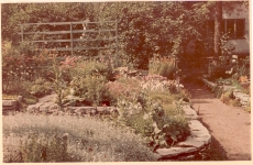 Friedebert Tuglase aed, suvi 1960