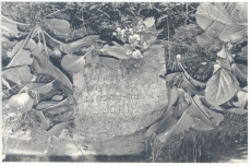 Karl August Hindrey - haud Tallinna Metsakalmistul