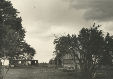Erni Hiire sünnikoht Ala-Pääbu talu Karjanurme külas Taageperas 1965. a. Ärapõlenud elumajast säilinud osaliselt seinad