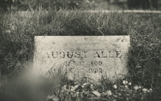 August Alle haud Tallinnas Metsakalmistul