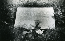 Paul Viidingu haud Tallinnas Metsakalmistul.