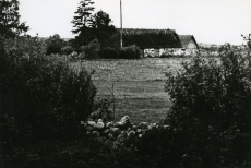 Karl Ristikivi elukoht 1920. aastail Pivarootsi külas Läänemaal