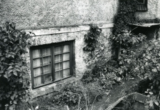 Betti Alveri toa aken Tartus, Pargi tn 2 maja keldrikorrusel, kus poetess elas ca 1947-1956. Foto 1982. a