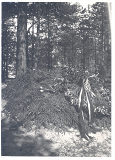 Eduard Vilde, haud Tallinna Metsakalmistul