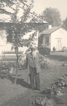 Ernst Peterson-Särgava oma aias, 1954