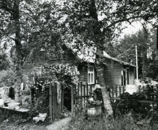 Betti Alveri Pühaste kodu "Kolga" talu, kus ta alates vanemate poolt talu ostmisest (ca 1934. a) viibis vanemate külalisena, aastatel 1945-1950 elas pidevalt. Vaade õue poolt 1982. a