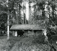 Betti Alveri venna ehitatud saun Pühastes, kus B. Alver kirjutas mõned oma luuletused. Foto 1982. a