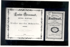 [Martin Körber], 1) Laulud Sörvemaalt, mitme healega. II j. Trt., 2) Sarema Kuldnok,… Kurresare, 1879
