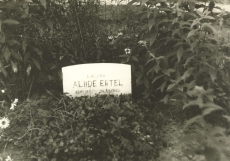Alide Erteli haud Puka surnuaial