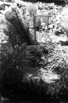 Alide Erteli haud Puka kalmistul  1970. a
